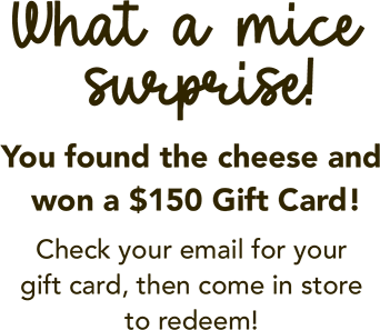 What a mice surprise! You found the cheese and won a $150 Gift Card! Check your email for your gift card, then come in store to redeem!